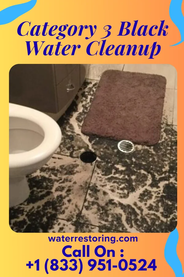 Category 3 Black Water Cleanup in Bear Grass, NC