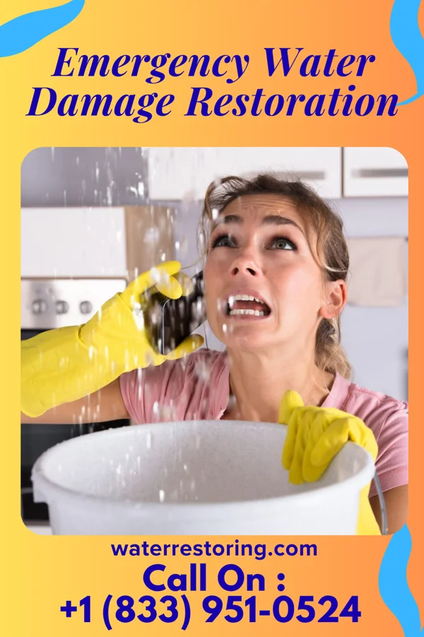 Emergency Water Damage Restoration in Bear Grass, NC